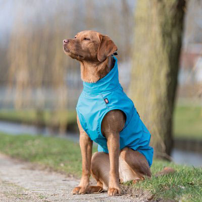 Kišni mantil za psa Vimy Turquoise leđa 55cm Trixie 680206 - pogled 5