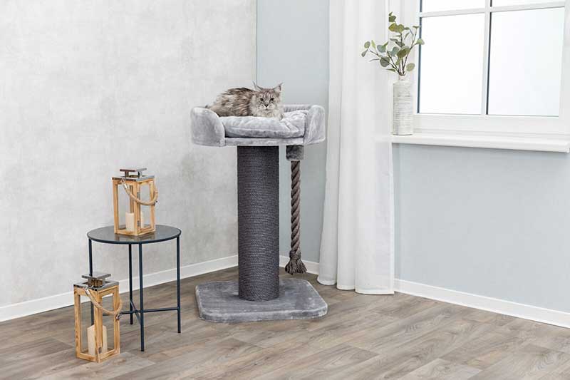 Stubna grebalica 100cm za mačke Sa krevetom Klara XXL grey Trixie 44676 - pogled 5