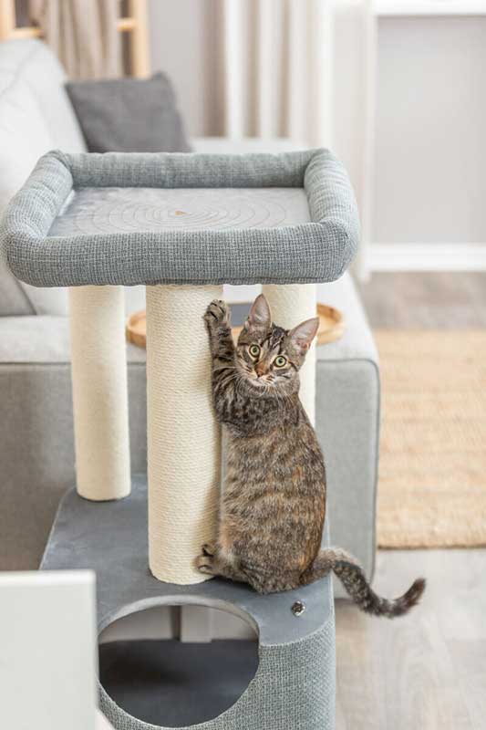 Grebalica sa kućicom za mačke 86cm Viviana grey Trixie 44475 - pogled 5