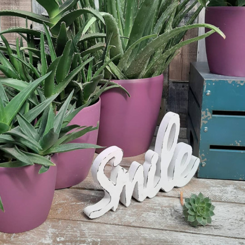 Komplet saksija u mat roze boji sa unutrašnjom tacnom 8 komada - pogled 5