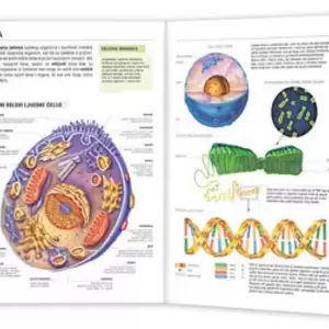 Atlasi - proizvodi iz kategorije