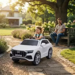 AKU Motori i Automobili - proizvodi iz kategorije