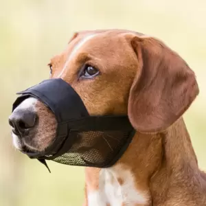 Ogrlice Povoci Amovi Za Pse i Mačke - proizvodi iz kategorije