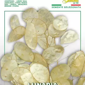 Cveće - seme i sadnice