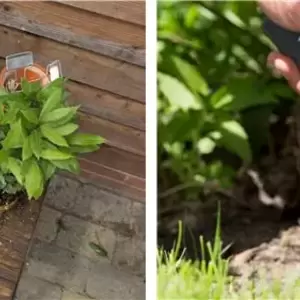 Setovi ručnog baštenskog alata - proizvodi iz kategorije