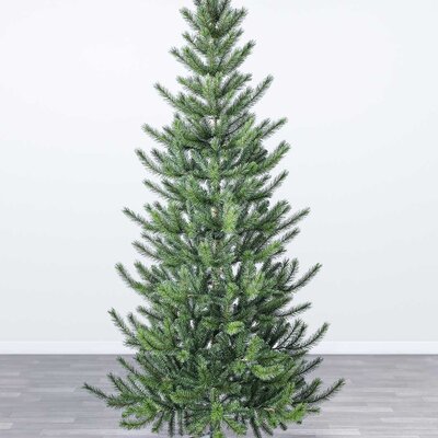 Novogodišnja Jelka Cedar Pine Evergreen Classics  240 cm