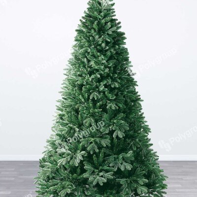 Bujna Jelka Evergreen Classics Falls Fir  180 cm