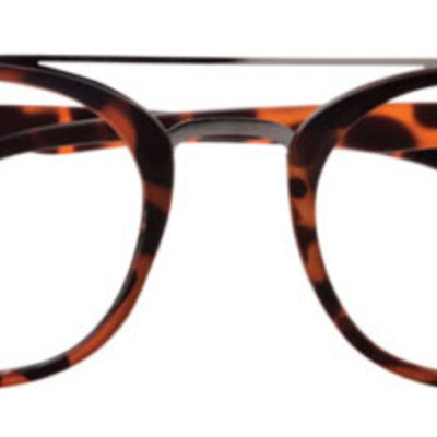 Prontoleggo naočare za čitanje sa dioptrijom +1,00 BRIDGE, braon