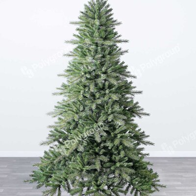 Evergreen Classics Indiana Spruce 240 cm