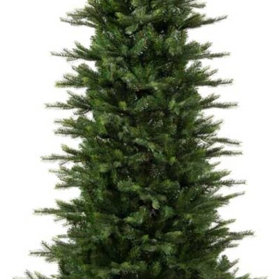 Novogodišnja jelka Everlands Grandis slim fir 210cm