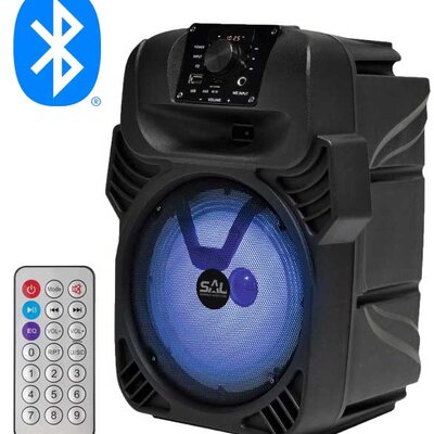 Prenosni Bluetooth zvučnik 25W PAR20BT