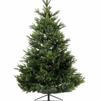 Novogodišnja jelka Everlands Arlberg fir 150cm
