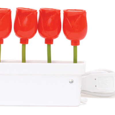 Kikkerland USB HUB Lala