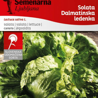 Seme 10 kesica - Zelena salata dalmatinska ledenka -  Lactuca sativa L. 361