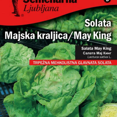 Seme 5 kesica - Zelena salata majska kraljica -  Lactuca sativa L. 379
