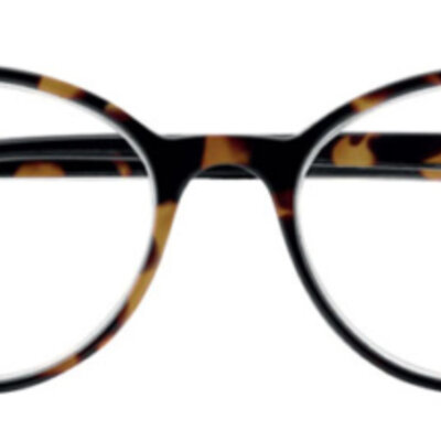 Prontoleggo naočare za čitanje sa dioptrijom Full, braon +2.0