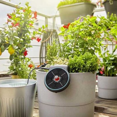 Solarni sistem za zalivanje do 20 saksija sa biljkama Gardena AquaBloom