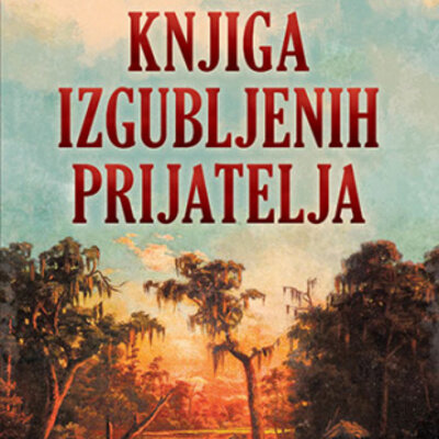 Knjiga izgubljenih prijatelja, Liza Vingejt
