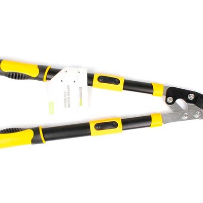 Baštenske makaze za grane sa teleskopskim ručkama 0316301