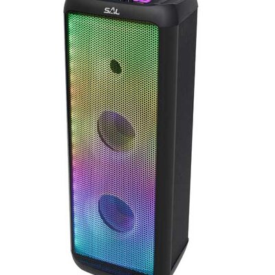 Bluetooth zvučnik 80W sa punjivom baterijom PAR221DJ