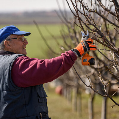 Akumulatorske makaze za orezivanje u koferu sa dve baterije Villager VBP 20