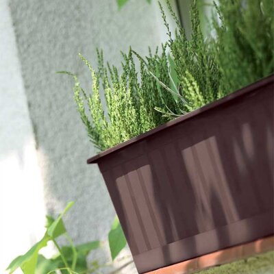 Balkonska žardinjera 50cm Prosperplast IS500-R222