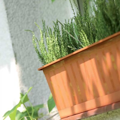 Balkonska žardinjera 50cm Prosperplast IS500-R624