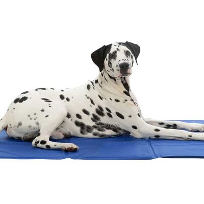 Rashladna prostirka za pse 110x70cm Trixie 28687