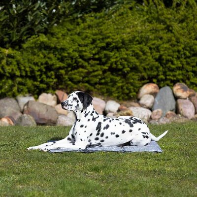 Meka prostirka za hlađenje za pse 90x60cm Trixie 28787