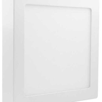 Plafonski LED panel 24W Dnevno svetlo LNPS-P24/W