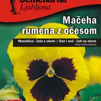 Cveće Dan i noć - žuti sa okom - Viola wittrockiana 5720/3