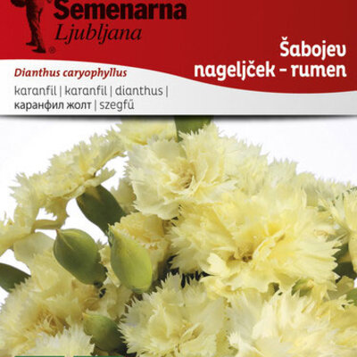 Seme za Karanfil šabo - žuti - Dianthus caryophyllus 3225/5