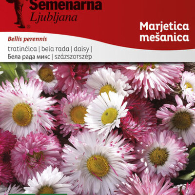 Seme za cveće Bela Rada - mešavina - Bellis perennis 2570