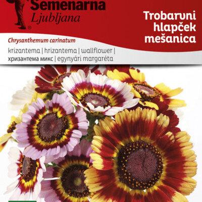 Seme za cveće Trobojna Margareta mešavina - Chrysanthemum carinatum 2818
