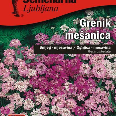 Seme za cveće Ognjica mešavina - Iberis umbellata 3788