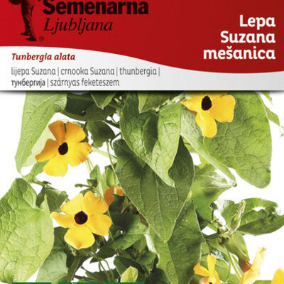 Seme za cveće Crnooka Suzana - Tunbergia alata 5452
