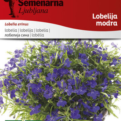 Cveće Lobelija - plava - seme Lobelia erinus 4120