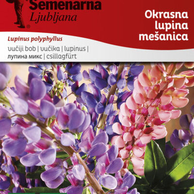 Cveće Vučika - mešavina - seme Lupinus Polyphyllus 4189