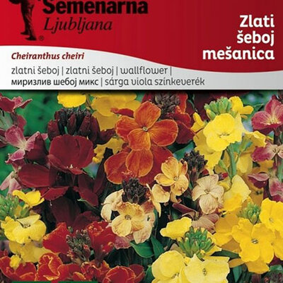 Cveće Zlatni šeboj - mešavina - seme Cheiranthus cheiri 2813