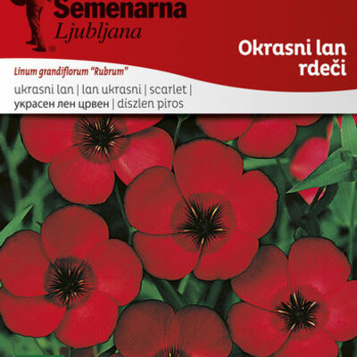 Seme za cveće Ukrasni lan - crveni - Linum grandiflorum Rubrum 3895