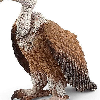 Schleich figurice Divlje životinje - Beloglavi sup 14847