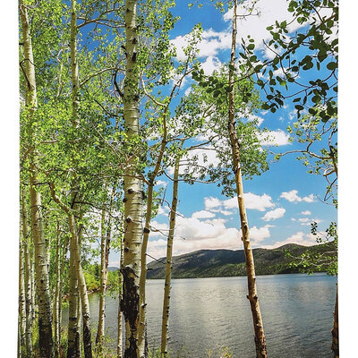 Zidna Poster Grejalica Breze 500W 105x60 cm