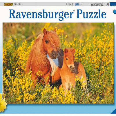 Ravensburger Puzzle 100 XXL delova Šetland poni 13283