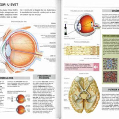 Školski fiziološki atlas