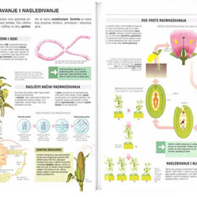 Školski botanički atlas
