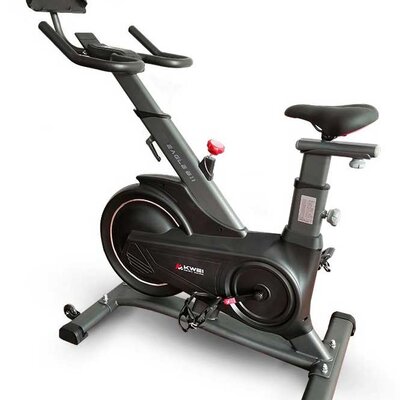 Sobni bicikl Xplorer Eagle 811 Black