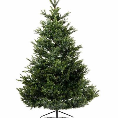 Novogodišnja jelka Everlands Arlberg fir 210cm
