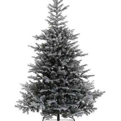 Novogodišnja jelka Everlands Grandis Fir Snowy 180cm