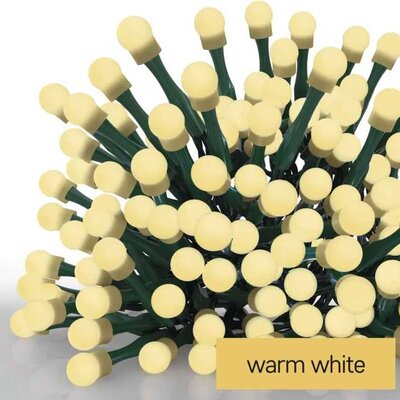 Lampice za spoljnu upotrebu Sa tajmerom 200 LED 20m Emos D5AW03