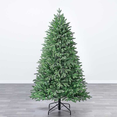 Novogodišnja jelka visine 210cmEvergreen  Sherwood Spruce